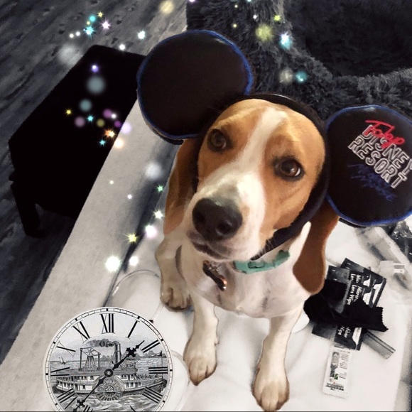 Welcome! - Picture 9 of 16